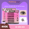 Mi Giả Sẵn Keo MieBeauty