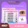 Mi Giả Sẵn Keo MieBeauty